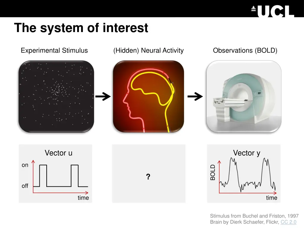 the system of interest