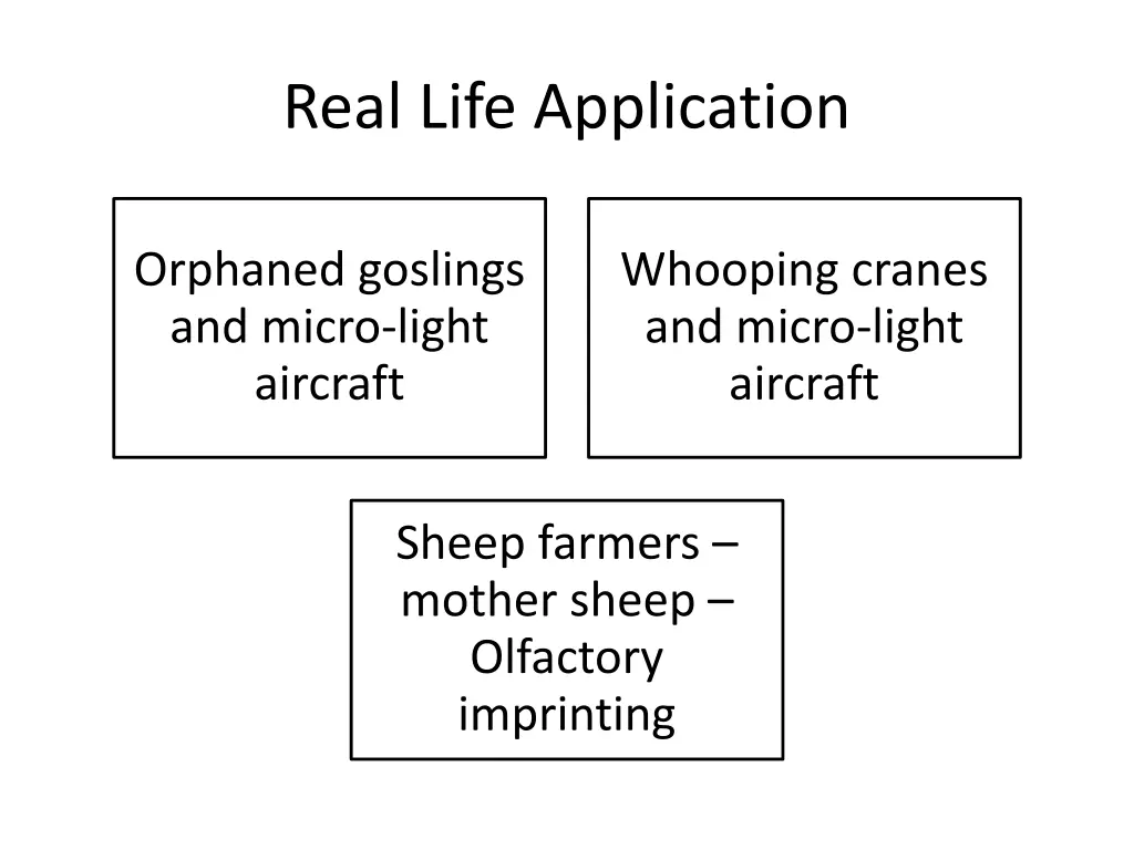 real life application