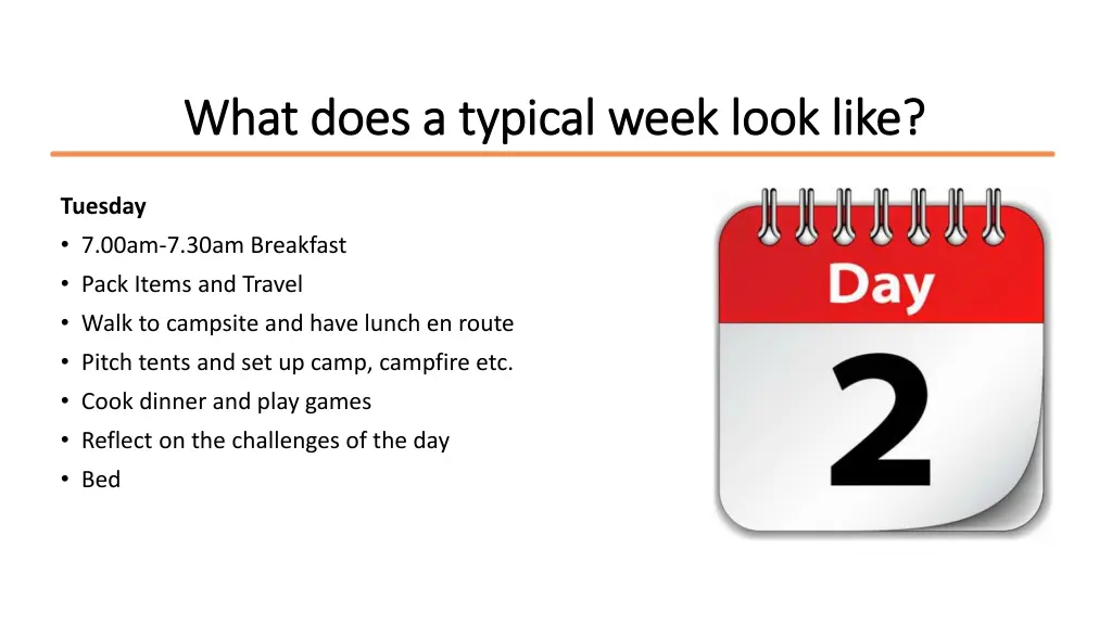 what does a typical week look like what does 1