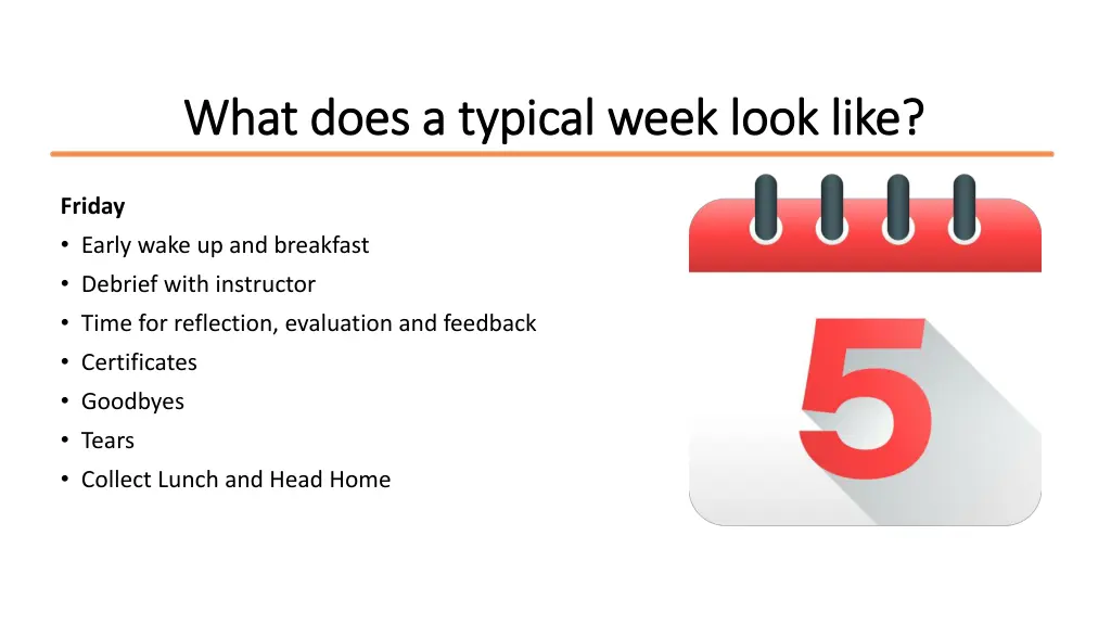 what does a typical week look like what does 4