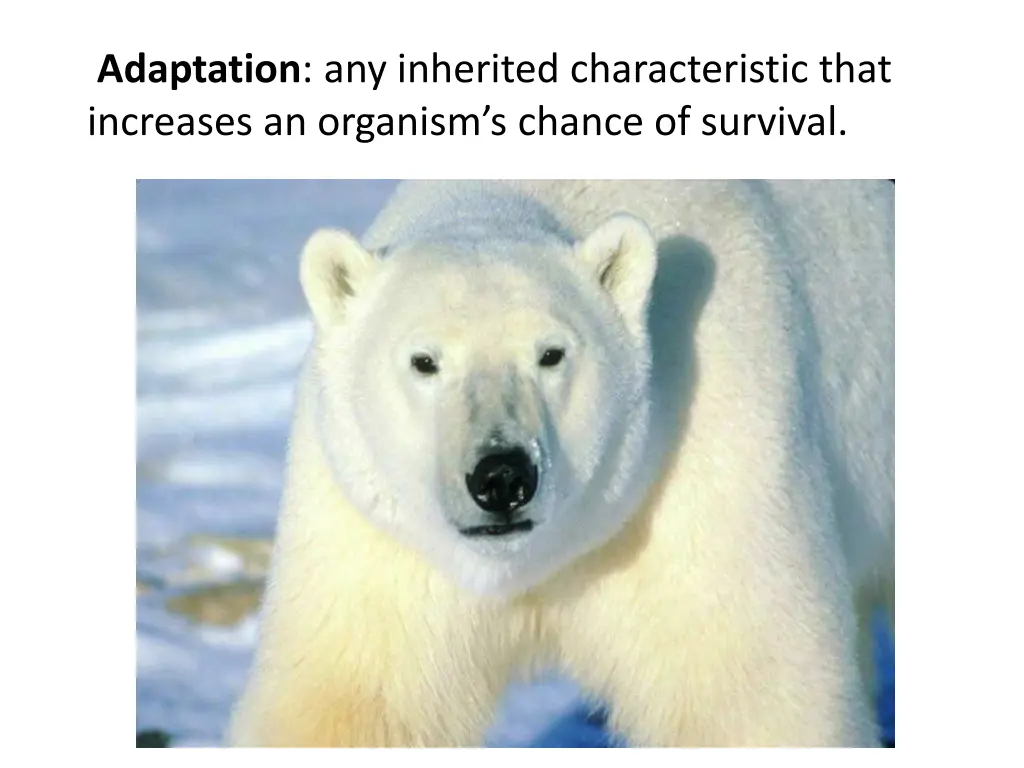 adaptation any inherited characteristic that