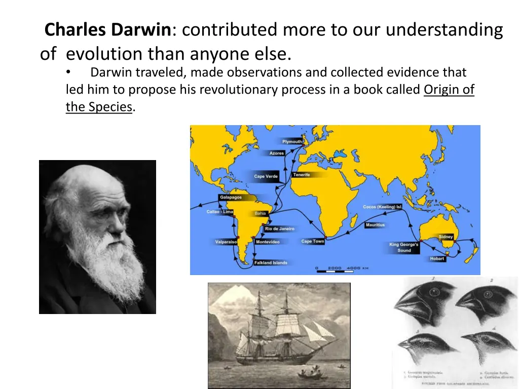 charles darwin contributed more