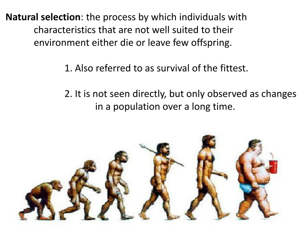 natural selection the process by which