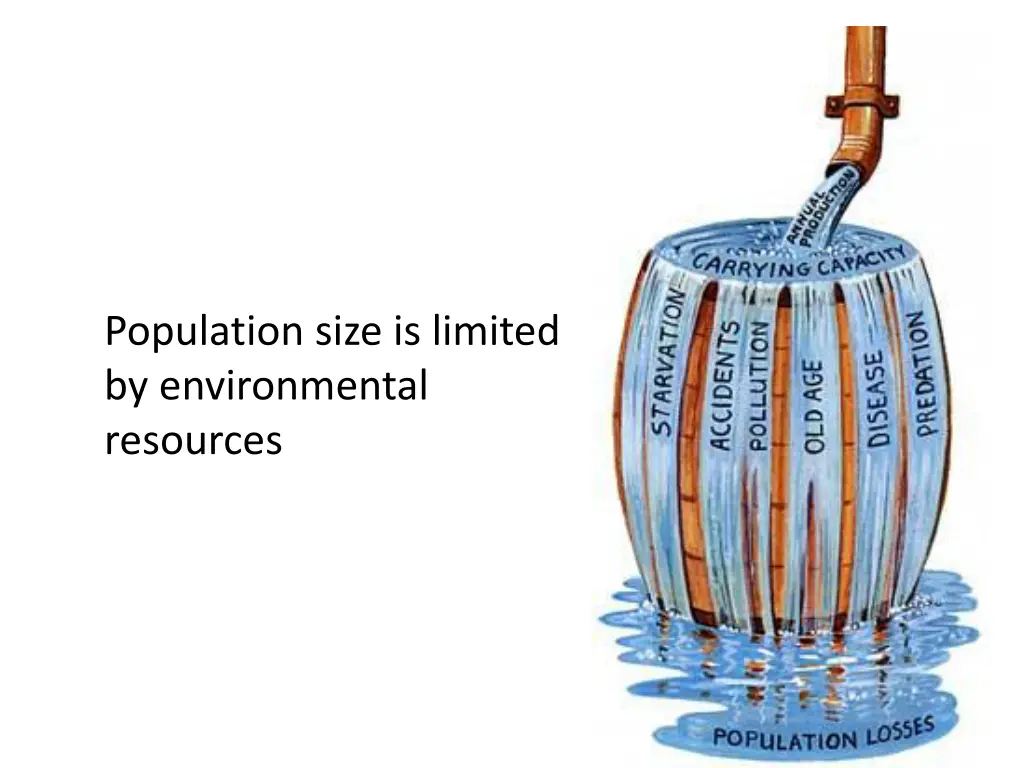 population size is limited by environmental