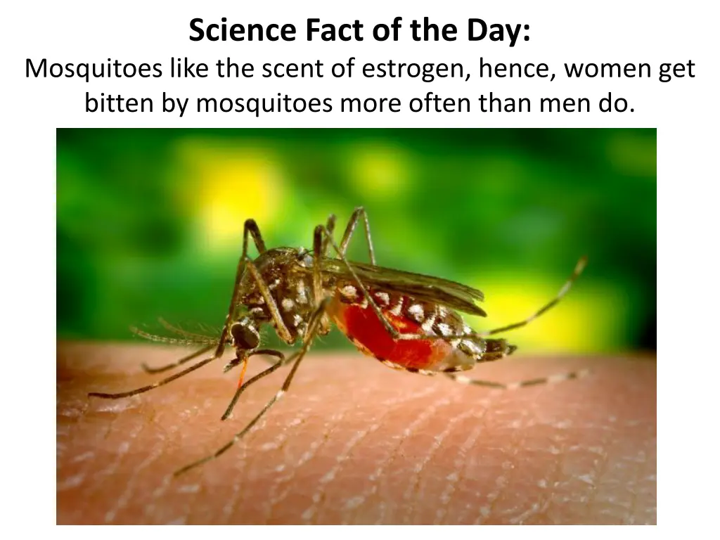 science fact of the day mosquitoes like the scent