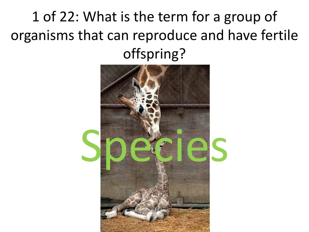 1 of 22 what is the term for a group of organisms