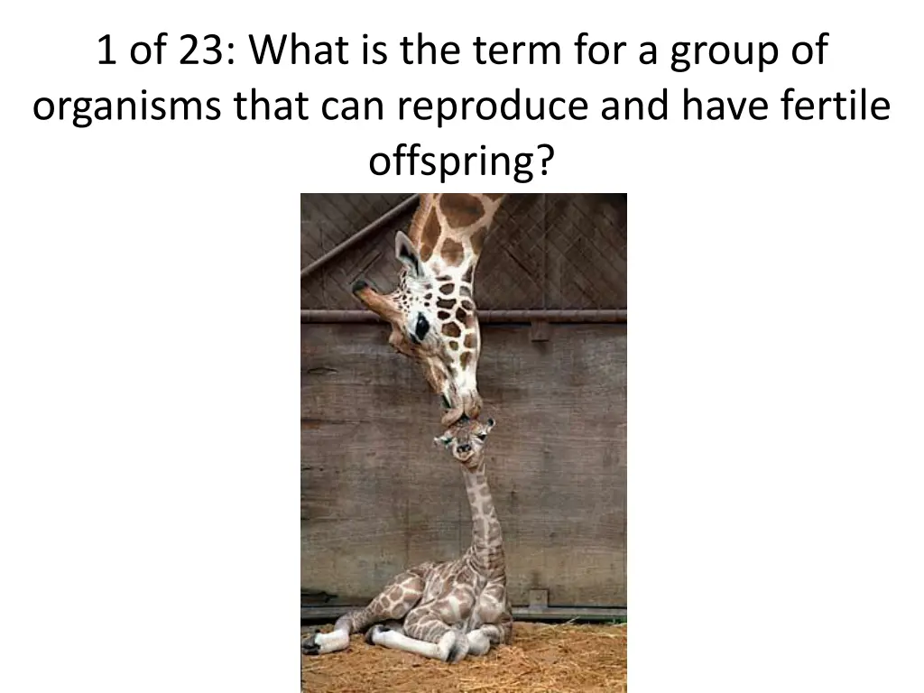 1 of 23 what is the term for a group of organisms