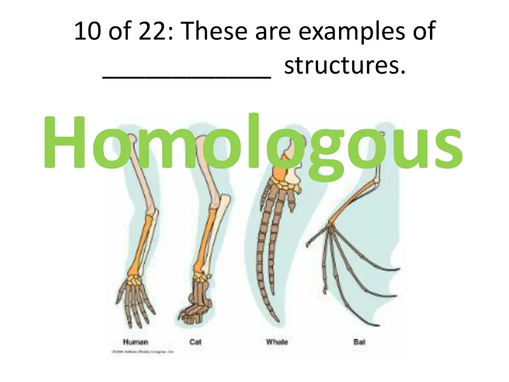 10 of 22 these are examples of structures 1