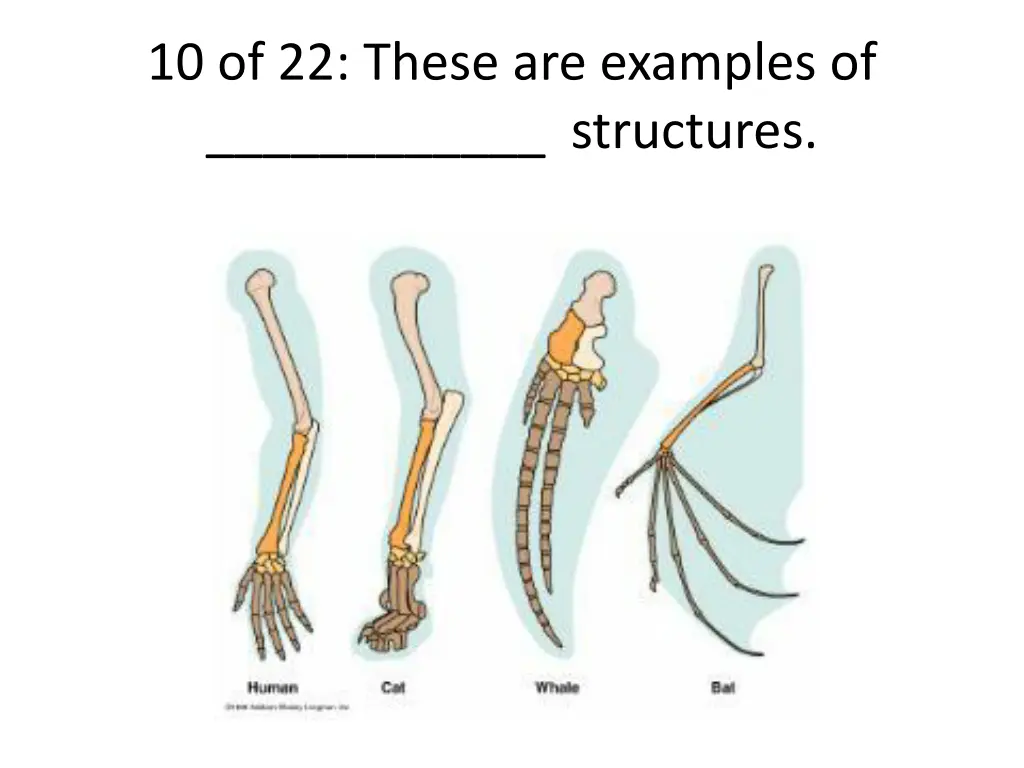 10 of 22 these are examples of structures