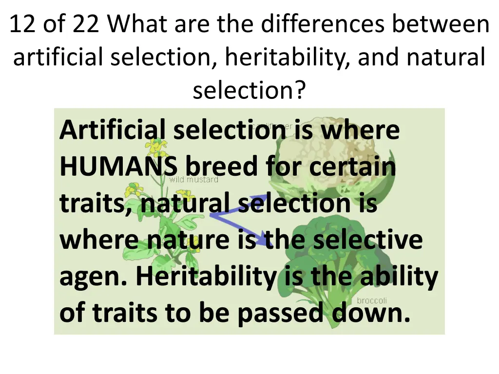 12 of 22 what are the differences between