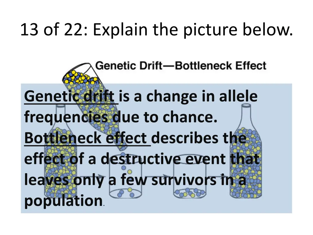 13 of 22 explain the picture below