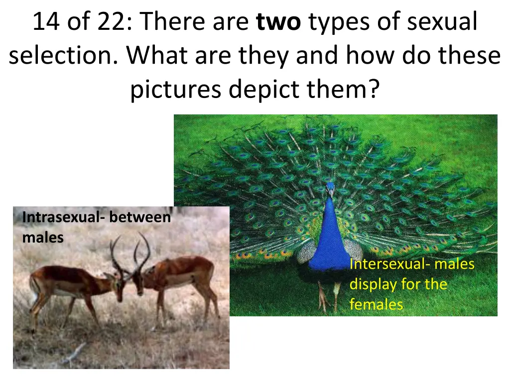 14 of 22 there are two types of sexual selection