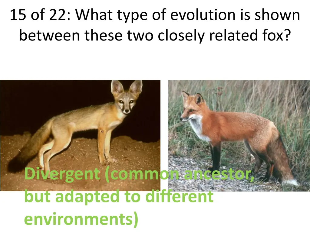 15 of 22 what type of evolution is shown between