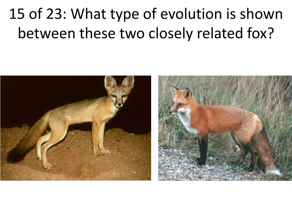 15 of 23 what type of evolution is shown between