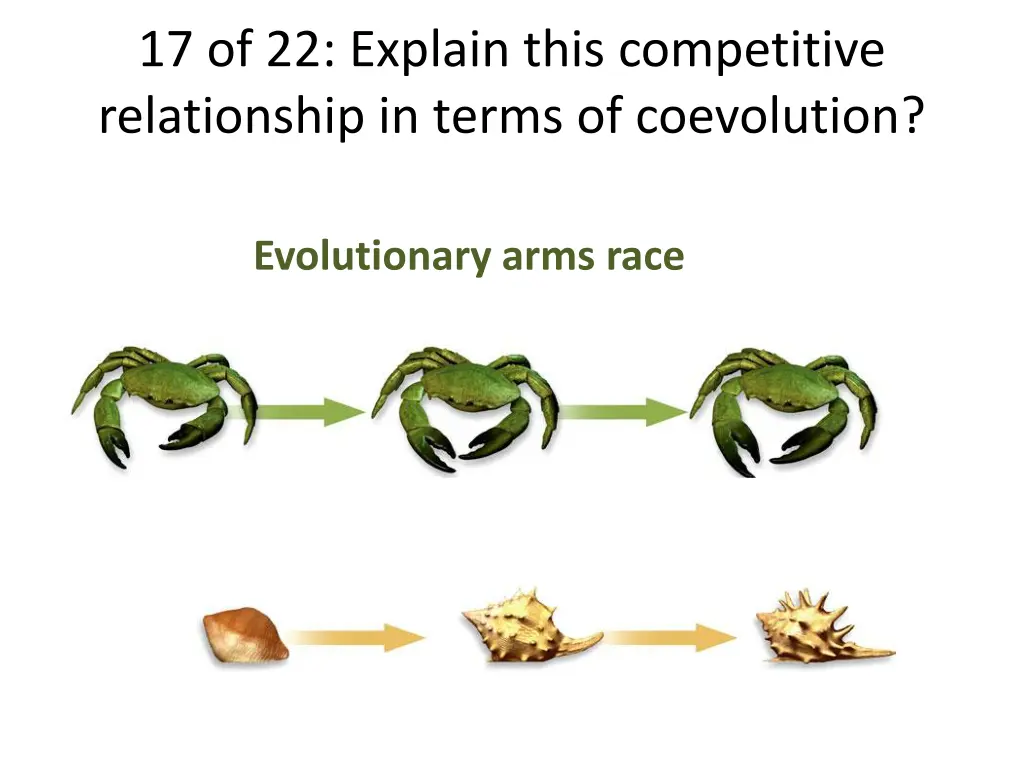 17 of 22 explain this competitive relationship