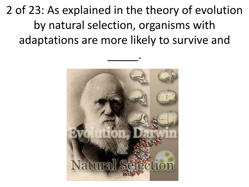 2 of 23 as explained in the theory of evolution