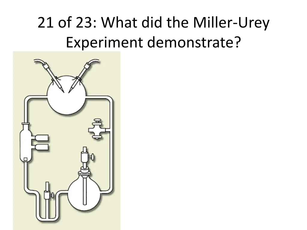 21 of 23 what did the miller urey experiment