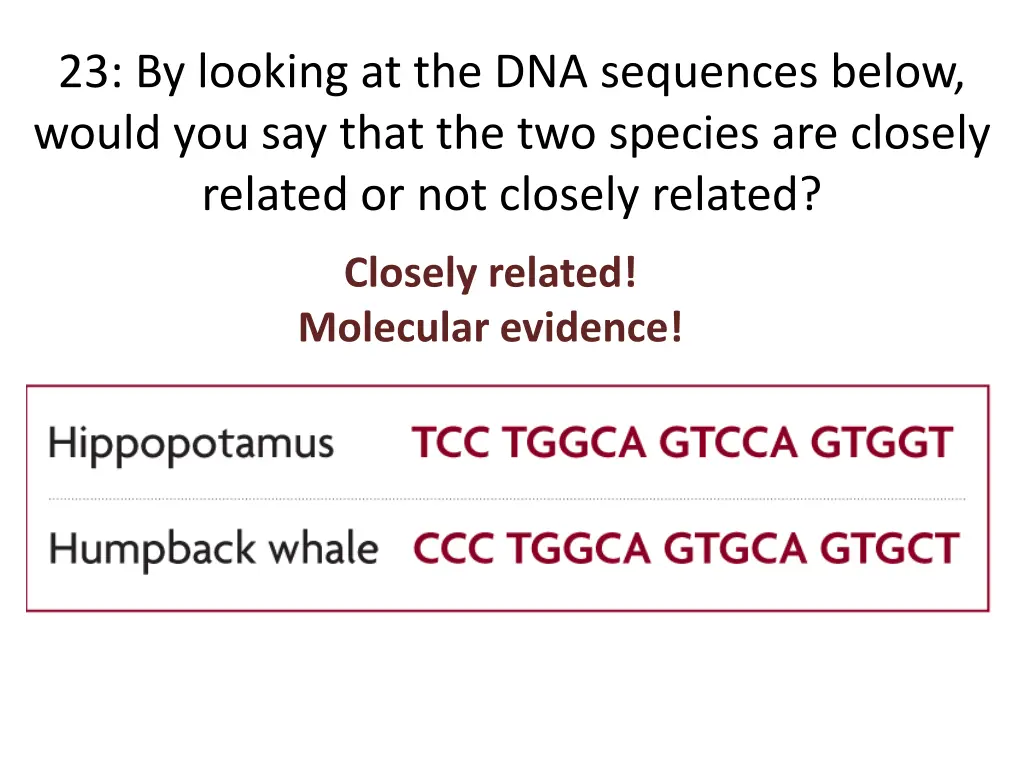 23 by looking at the dna sequences below would