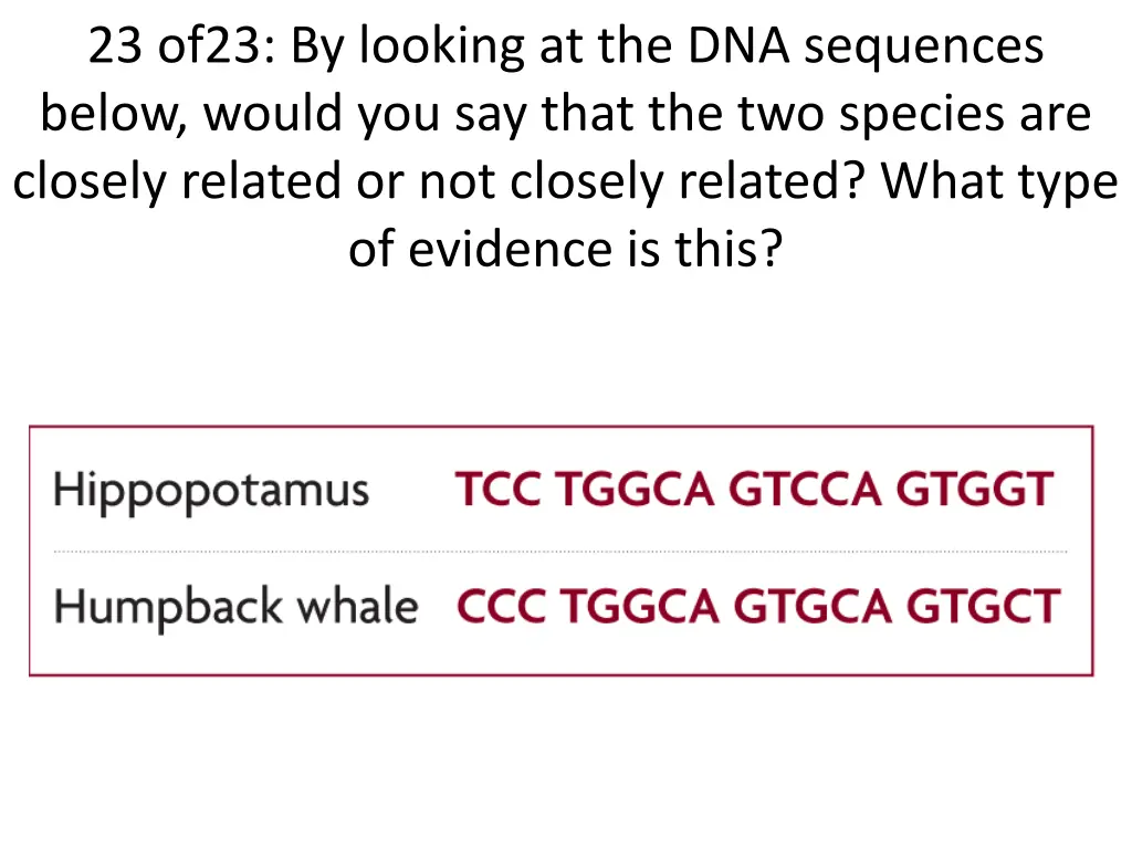 23 of23 by looking at the dna sequences below