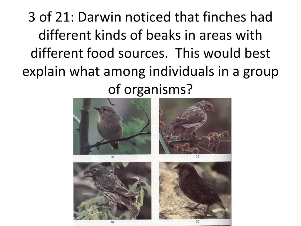 3 of 21 darwin noticed that finches had different