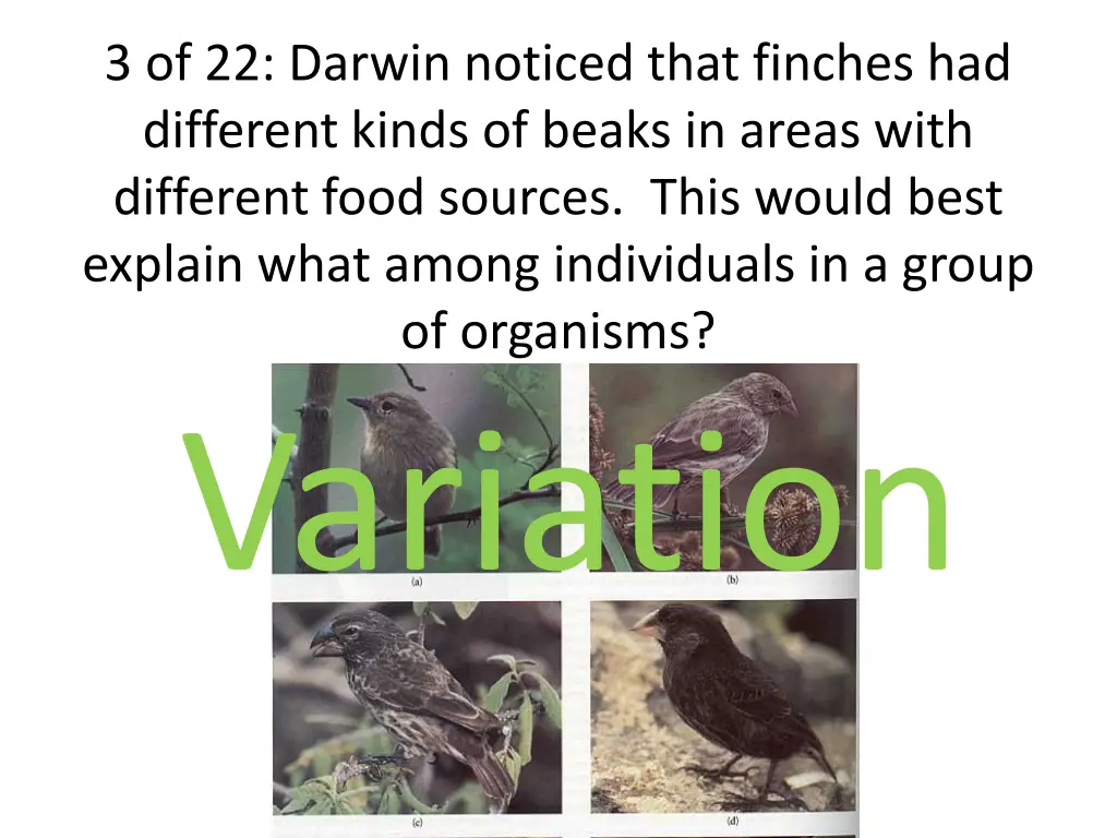 3 of 22 darwin noticed that finches had different