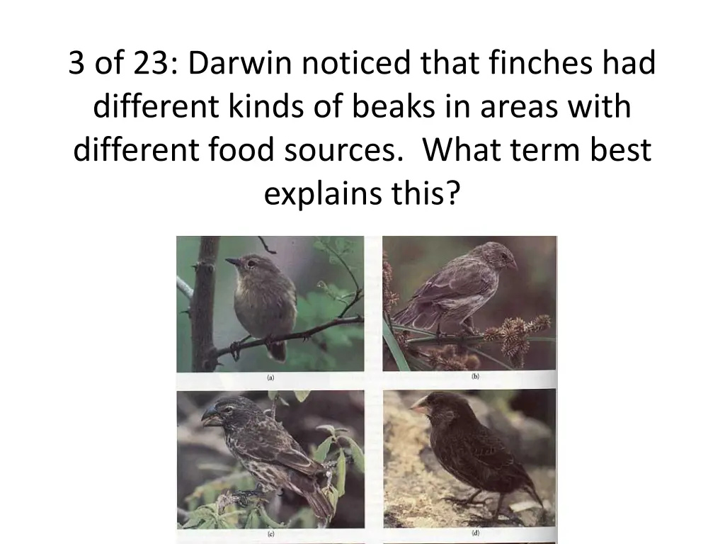 3 of 23 darwin noticed that finches had different