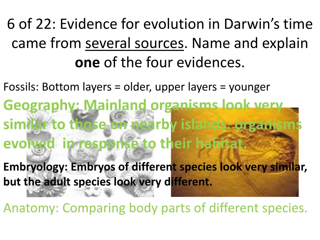 6 of 22 evidence for evolution in darwin s time