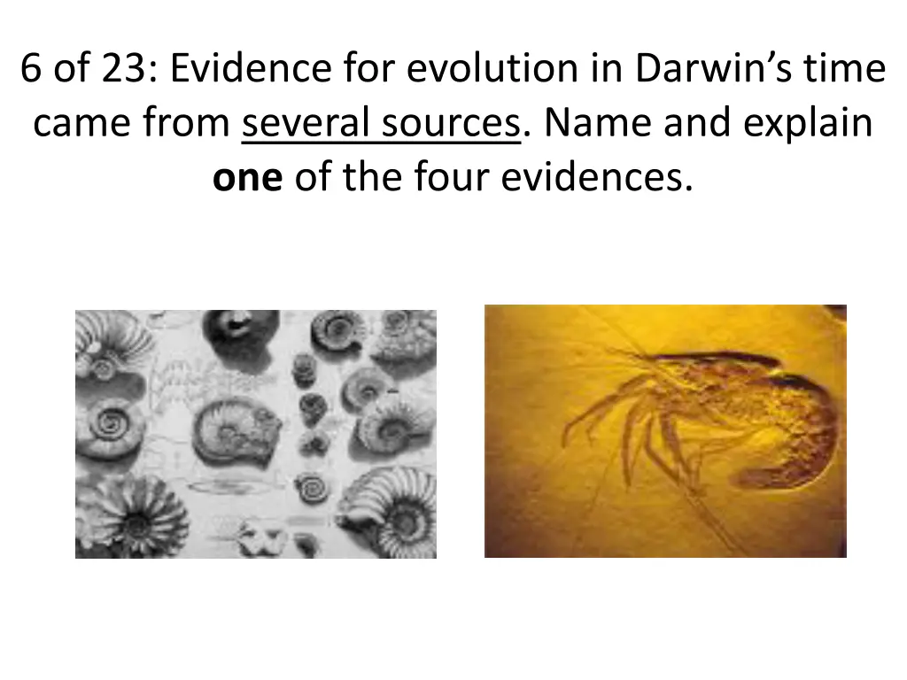 6 of 23 evidence for evolution in darwin s time