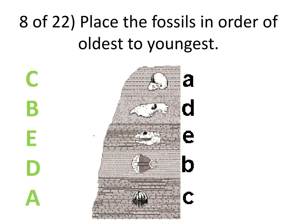 8 of 22 place the fossils in order of oldest