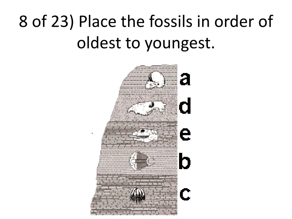 8 of 23 place the fossils in order of oldest