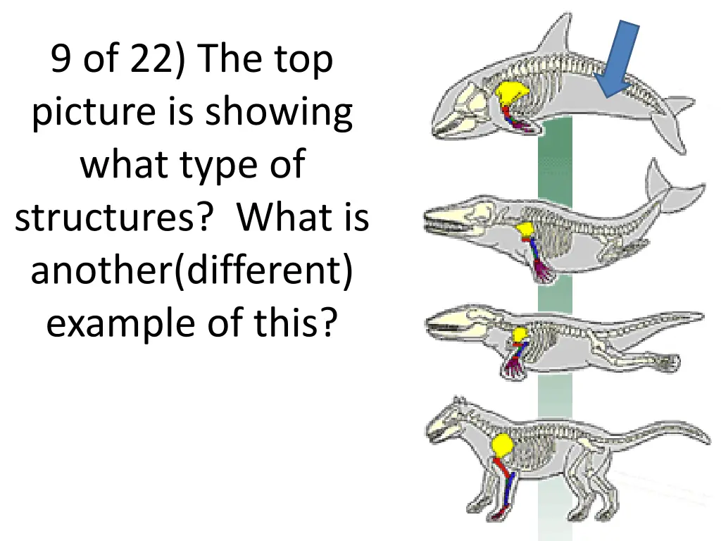9 of 22 the top picture is showing what type