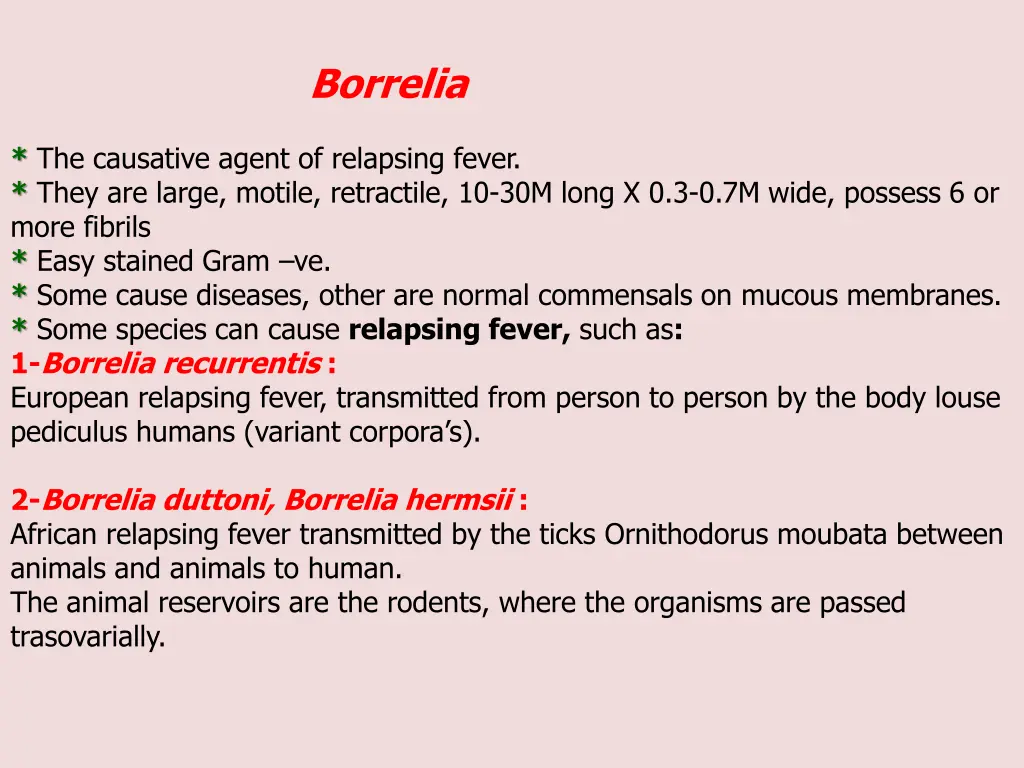 borrelia