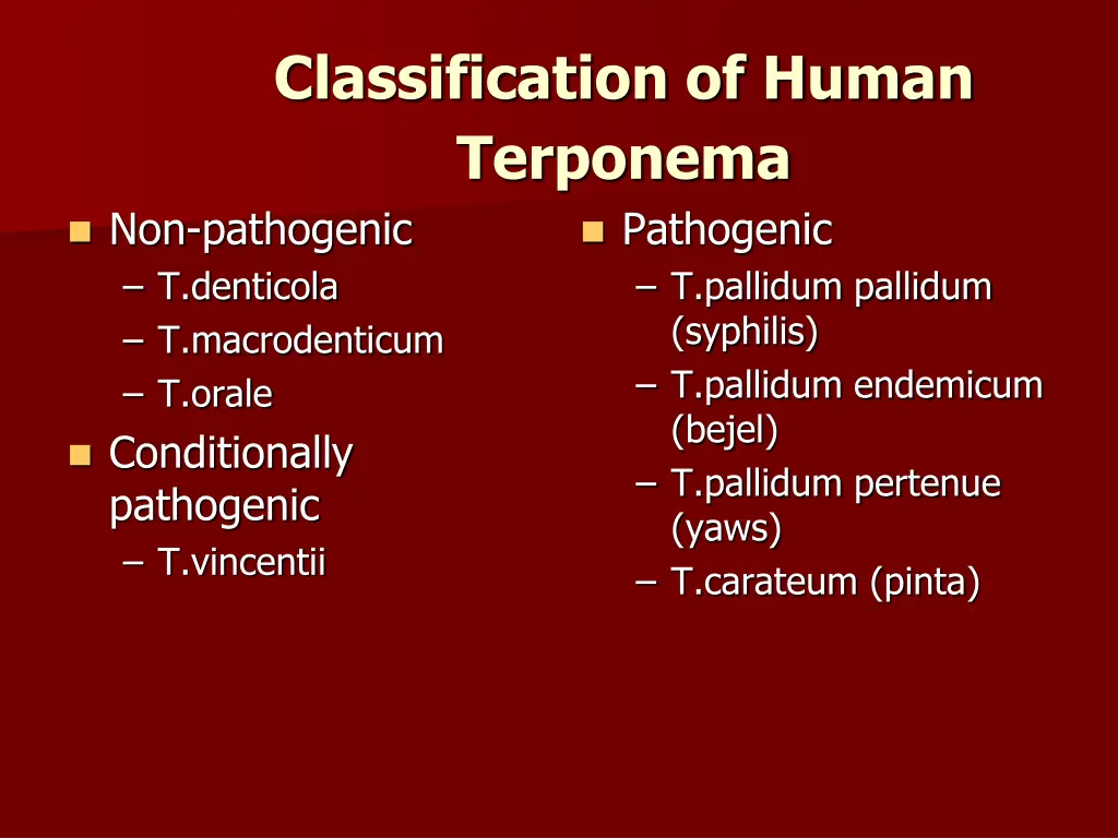 classification of human terponema non pathogenic