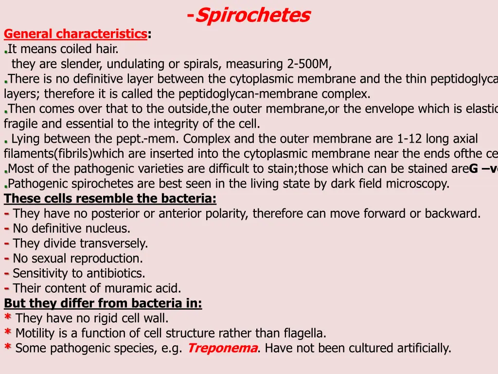 spirochetes