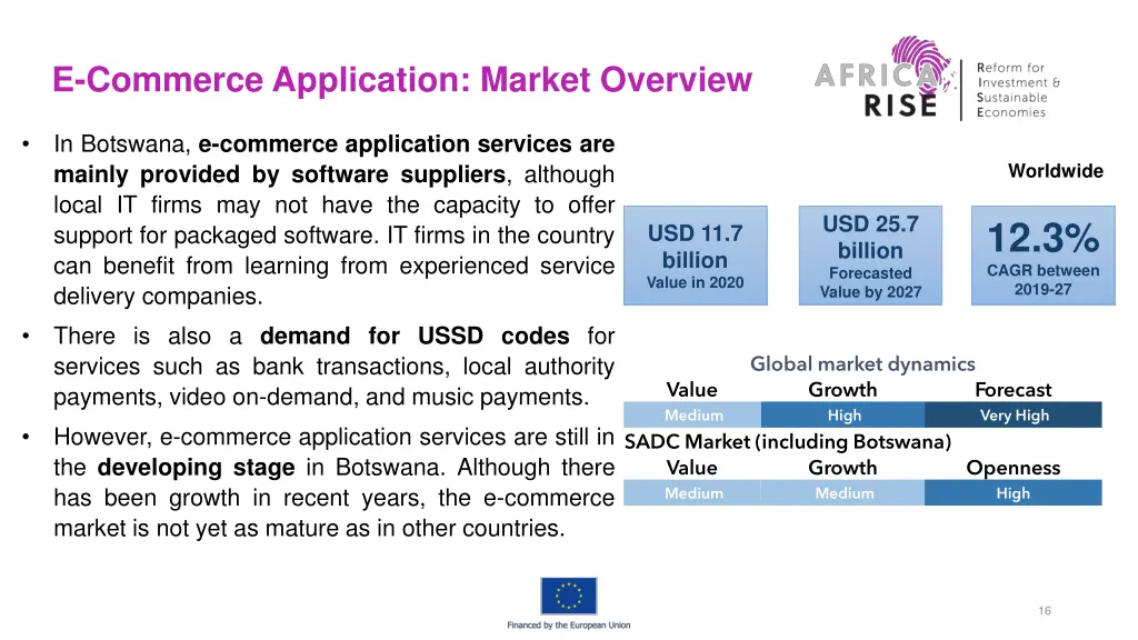 e commerce application market overview