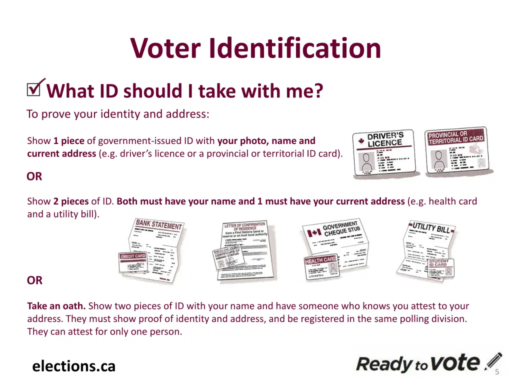 voter identification