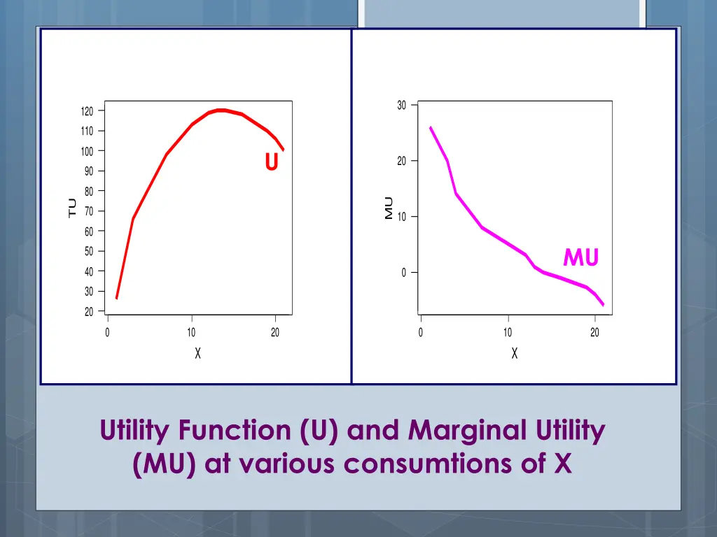 slide19