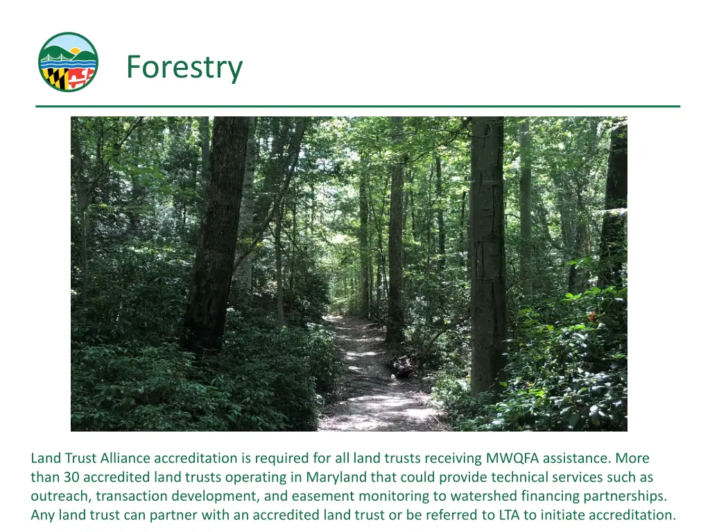 forestry