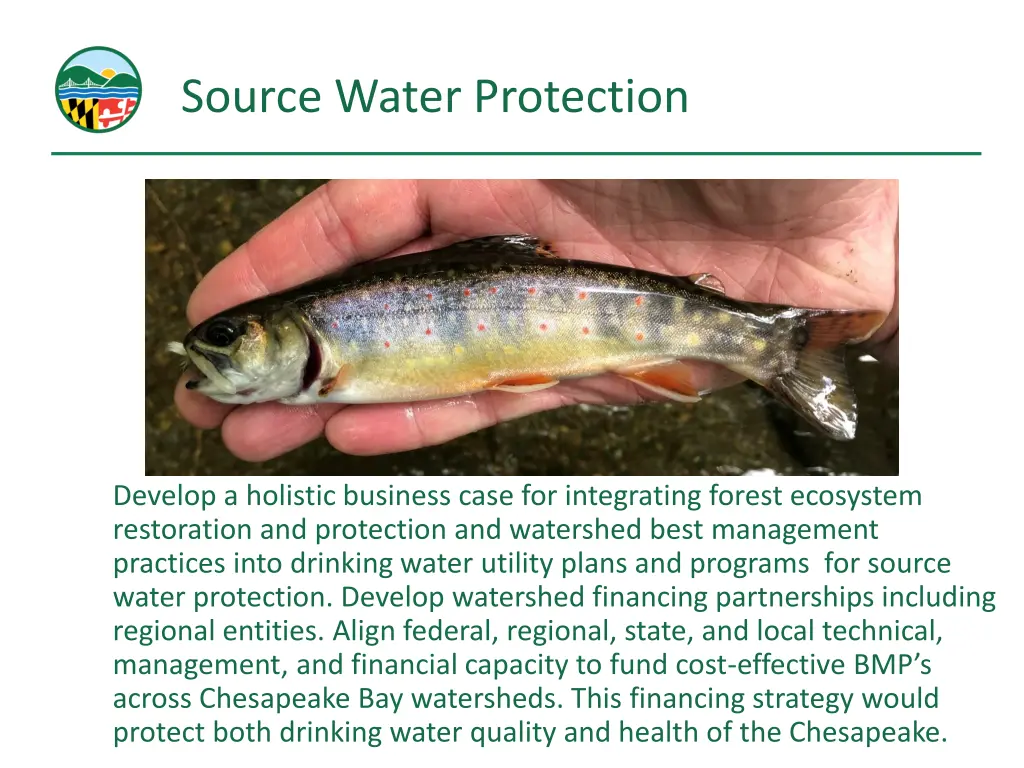 source water protection