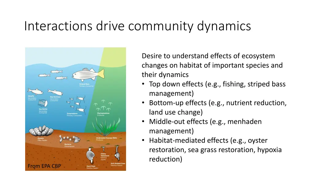 interactions drive community dynamics