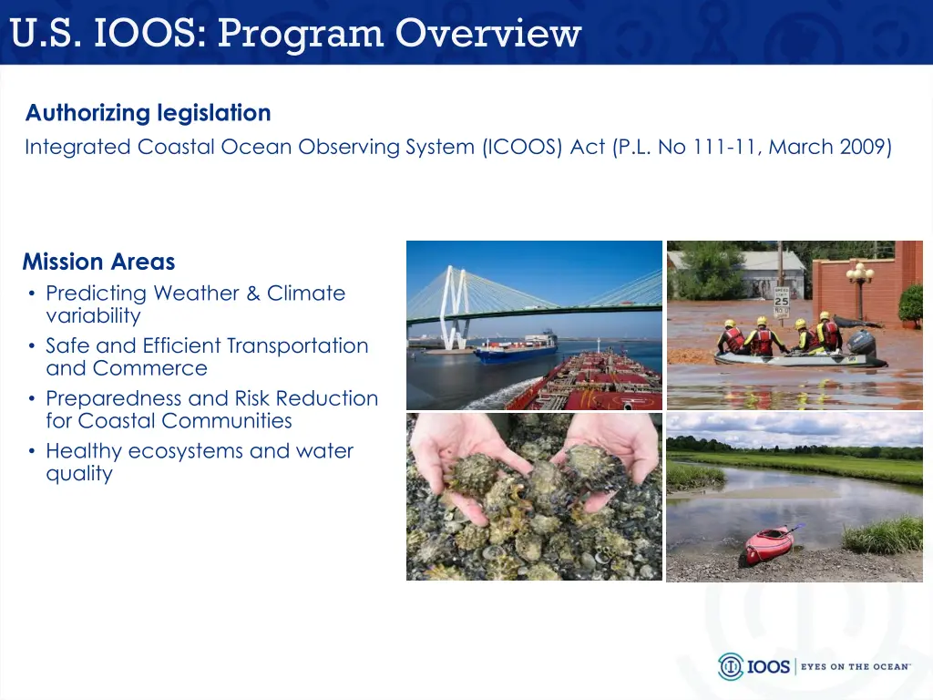 u s ioos program overview