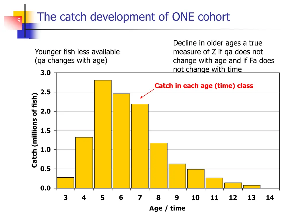 the catch development of one cohort