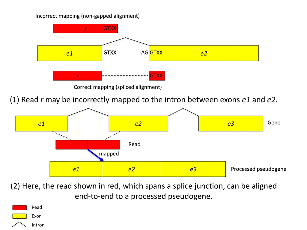 incorrect mapping non gapped alignment