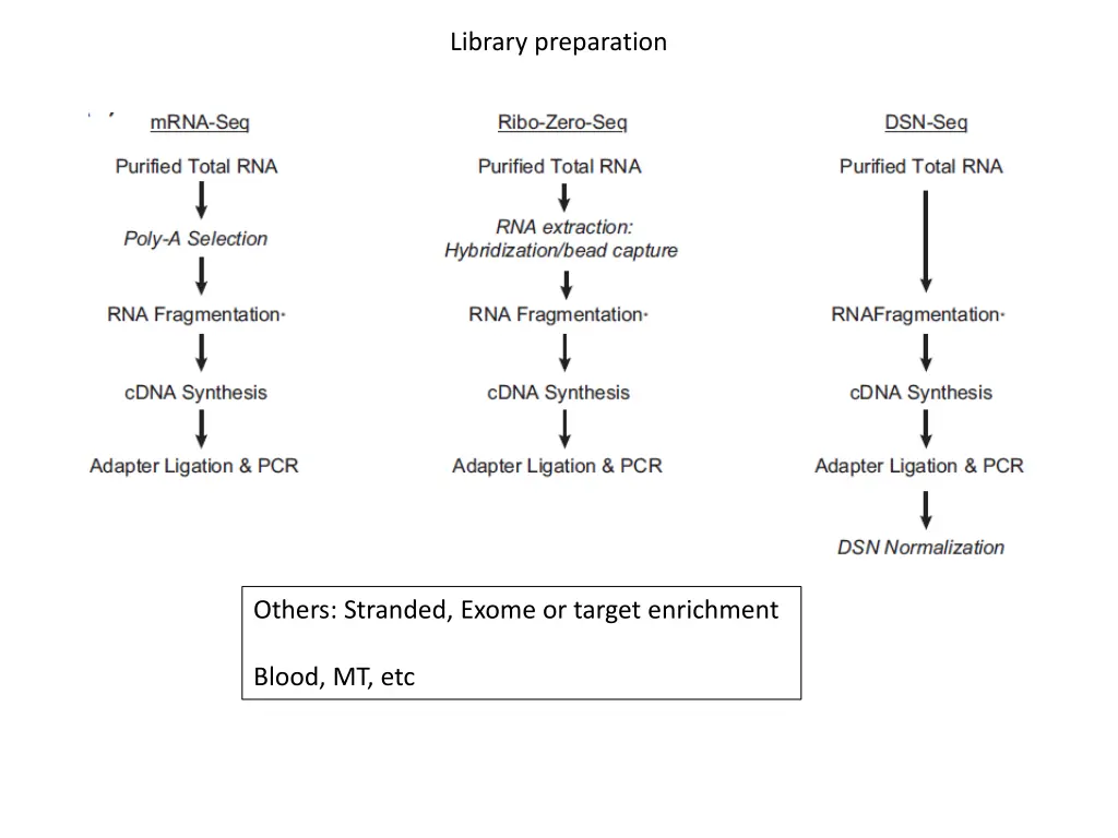 library preparation