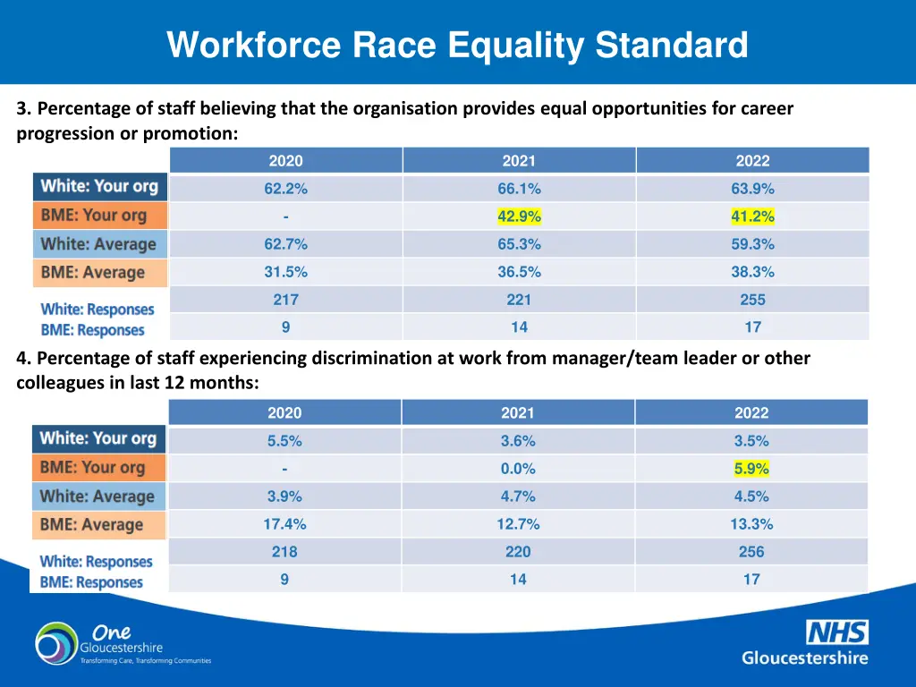 workforce race equality standard 1
