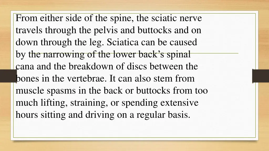 from either side of the spine the sciatic nerve