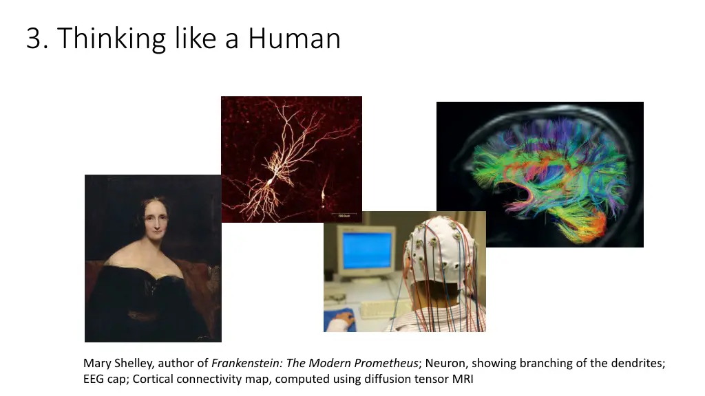 3 thinking like a human