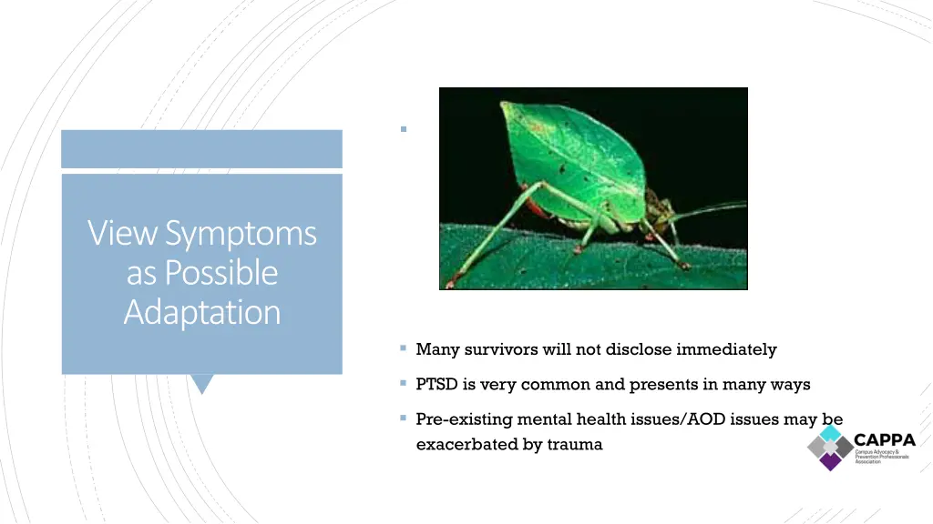 slide10
