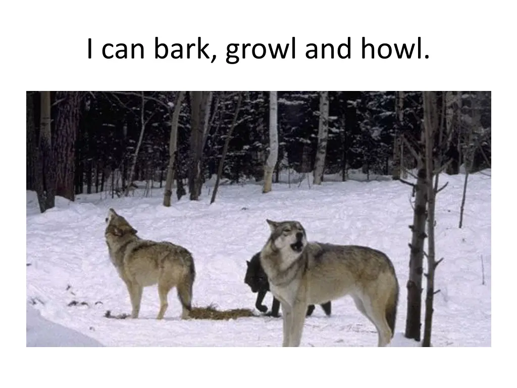 i can bark growl and howl