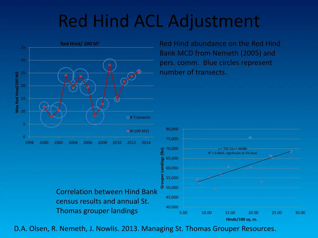 red hind acl adjustment